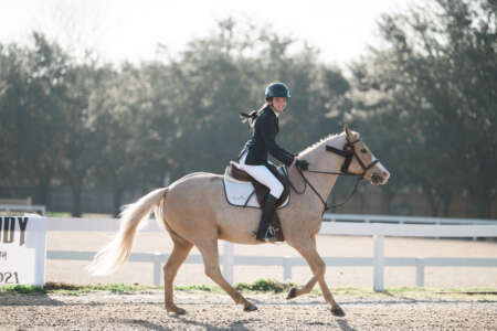 UDJC Approved Riding Schools